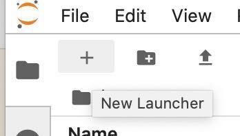 Jupyter Launch Terminal